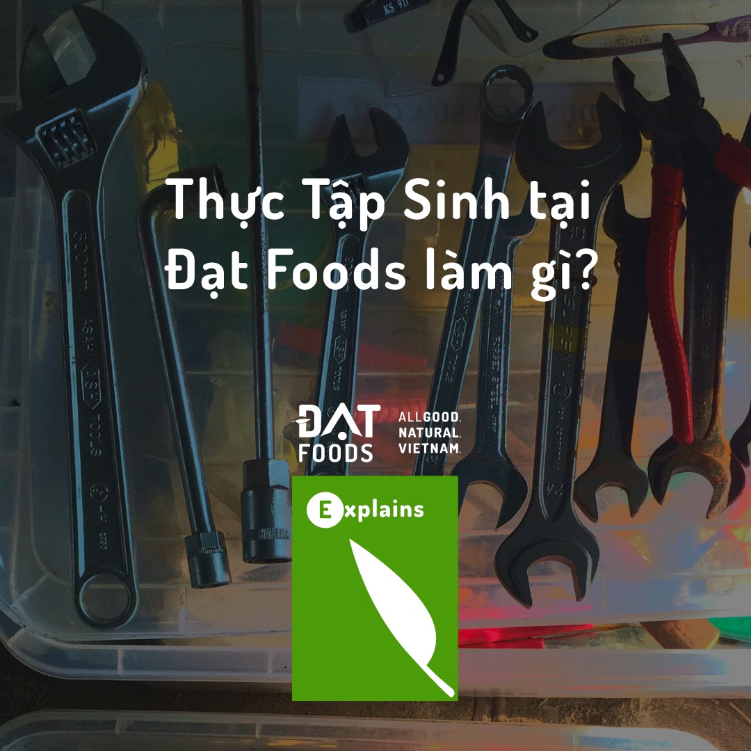 Đạt Foods’s internship program: An intern’s sharing