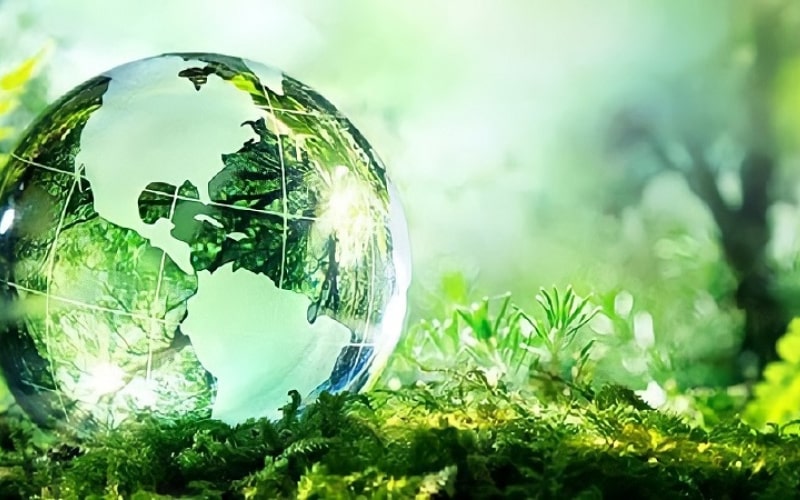 what do you do to earth day